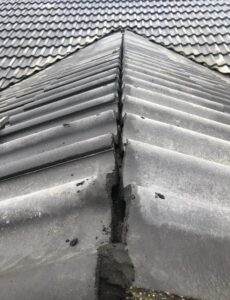 roofing dorchester